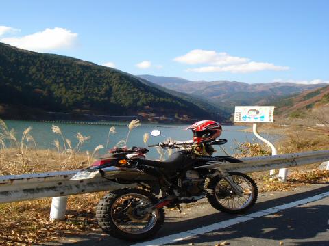 大名栗へむけて